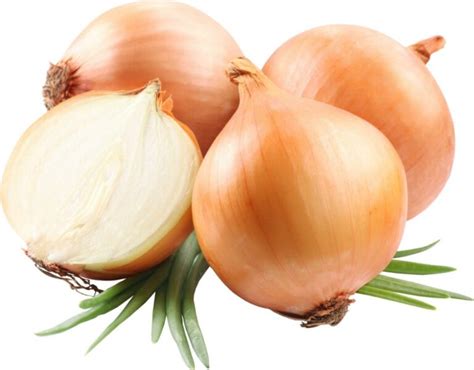 Cebola É Um Legume - Cebola: 30 benefícios do uso, para que serve e uso (com receitas)