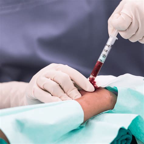 Venous Blood for Blood Gas Analysis in Dogs