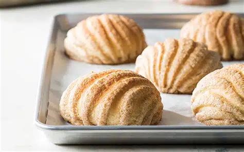 recipe concha bionutricia holding sdn bhd