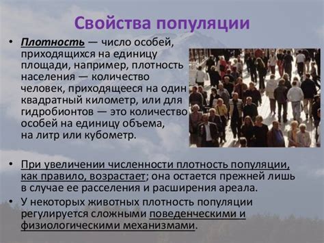 популяции