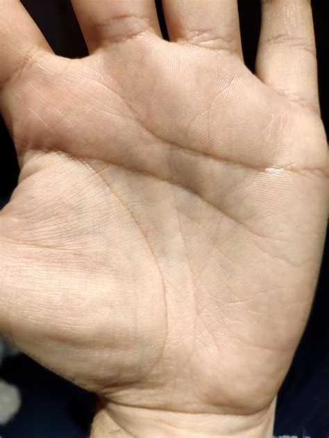 double head   foeenemy  rpalmistry