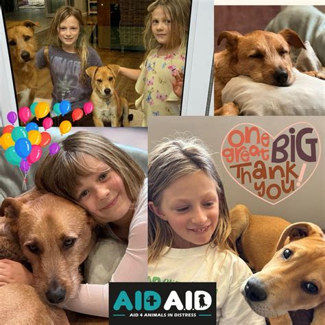 Aid 4 Animals In Distress... - Aid 4 Animals In Distress