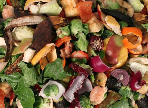 How to Compost at Home – Great Parks of Hamilton County Blog