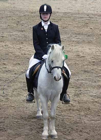 Hausi