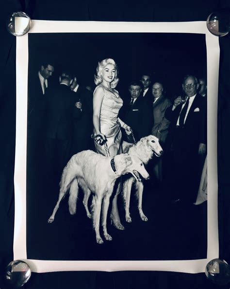 Charitybuzz: Jayne Mansfield with Seagram’s Dogs, 1950s Photograph by