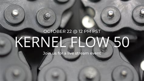 announcing kernel flow       kernel flow brain