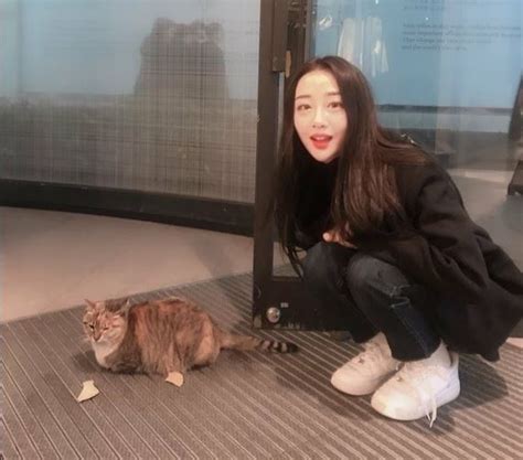 kpopalypse  survey  caonima action kpopalypse