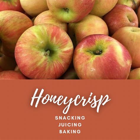 HONEYCRISP APPLES SNACKING, JUICING, BAKING - Fred Openshaw Farms