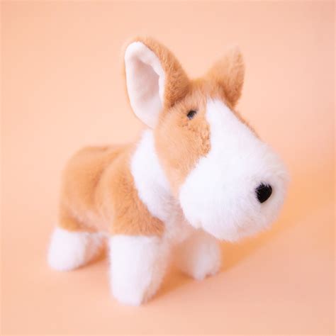 Carl Corgi Muzzle – Pigment