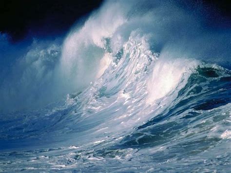 Tidal-Wave | Alistair Murray