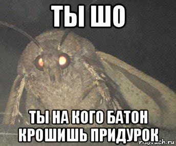 ты шо ты на кого батон крошишь придурок, Мем Матылёк - Рисовач .Ру