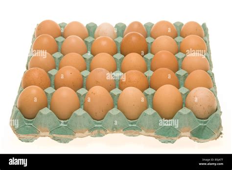 Brown hens eggs in a green cardboard tray on a white background Stock ...