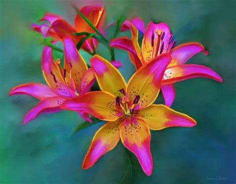 Lily Flower Painting