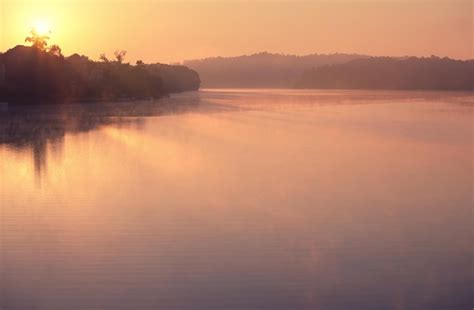 Premium Photo | Foggy sunrise on the lake