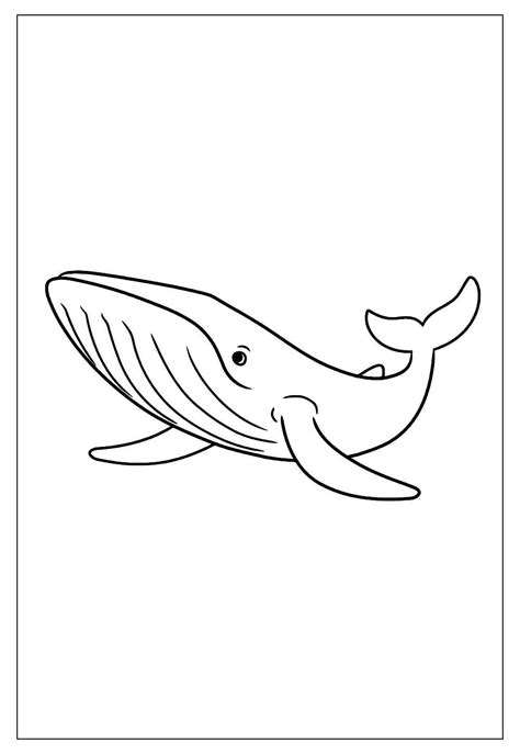 Desenho De Baleia Para Imprimir - 9