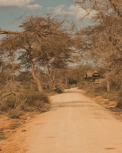 Amboseli National Park - Africa Shijoy Safaris