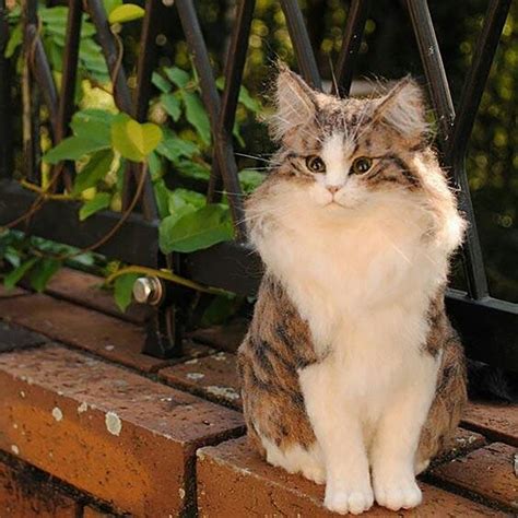 18 животных, которые так реалистичны, что трудно поверить, что они ...