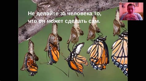 Урок 1 Коуч-менеджмент. Введение. - YouTube