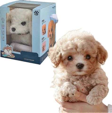 realistic toy puppy 6