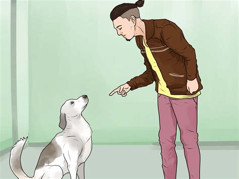 How To.stop.dog Barking at Lenore Schwartz blog