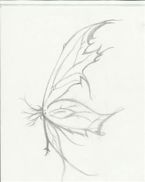 fairy wing drawing 7