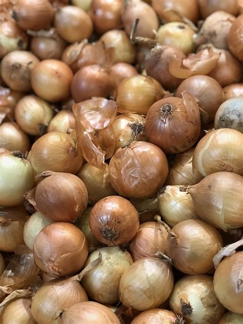 Onions Yellow Food - Free photo on Pixabay - Pixabay