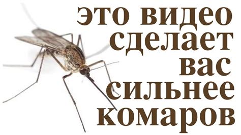 Энергетическая защита от комаров. Не тратьте деньги на химию 👍 - YouTube