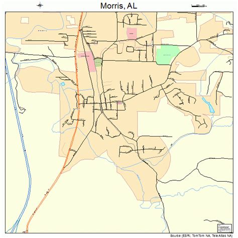 Morris Alabama Street Map 0151456