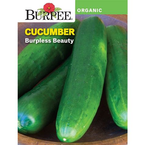 Burpee Organic Burpless Beauty Cucumber Vegetable Seed, 1-Pack ...