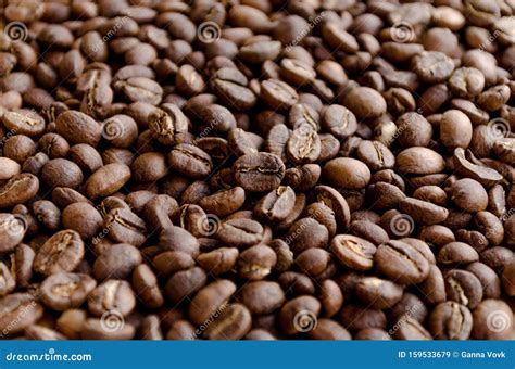 coffee beans  close  stock image image  closeup