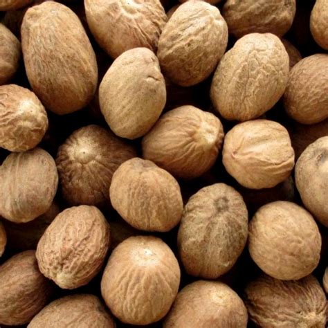 nutmeg prestige quality international