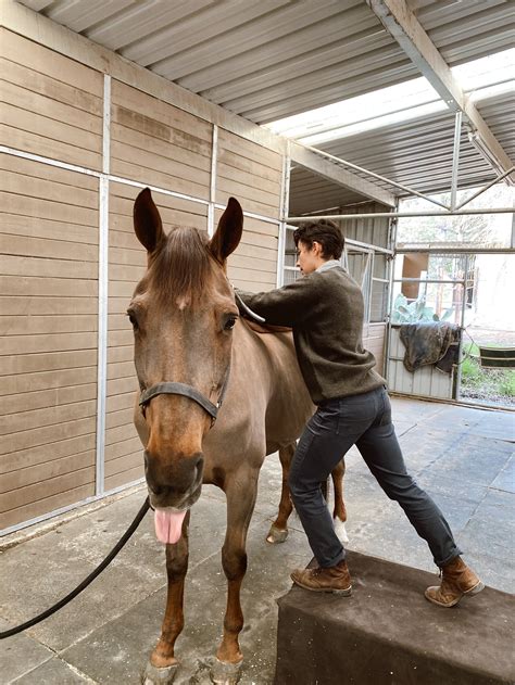 animal chiropractic near me 7