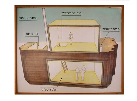 הסליק בבבור השתן | Sliq
