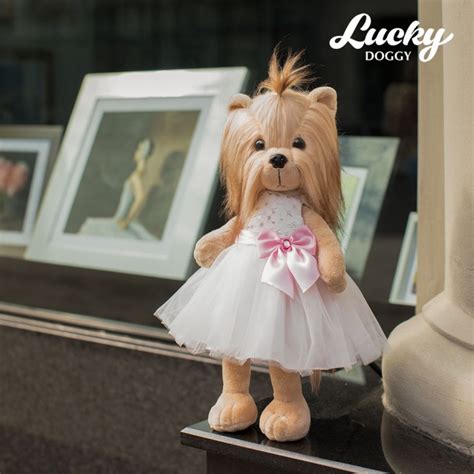 Collection Lucky Doggy