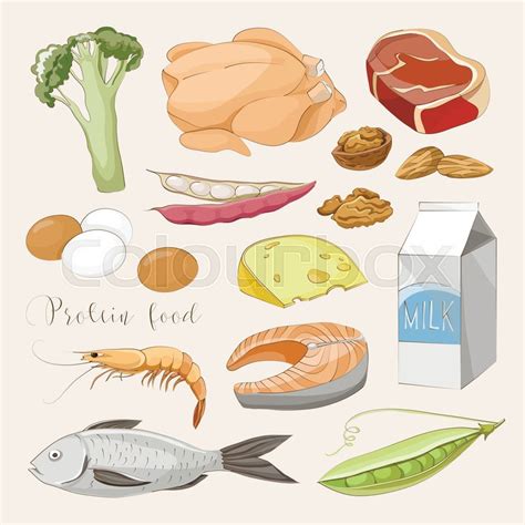 Best protein food icons for healthy ... | Stock vector | Colourbox