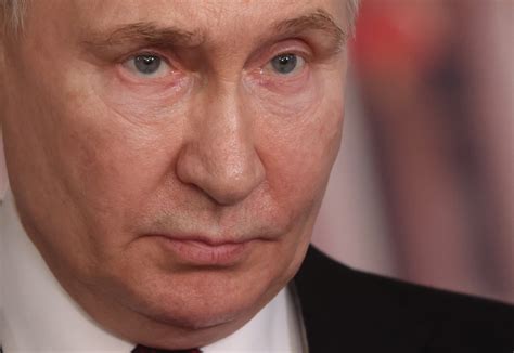 Putin Ready to 'Freeze' Ukraine War: Report - Newsweek