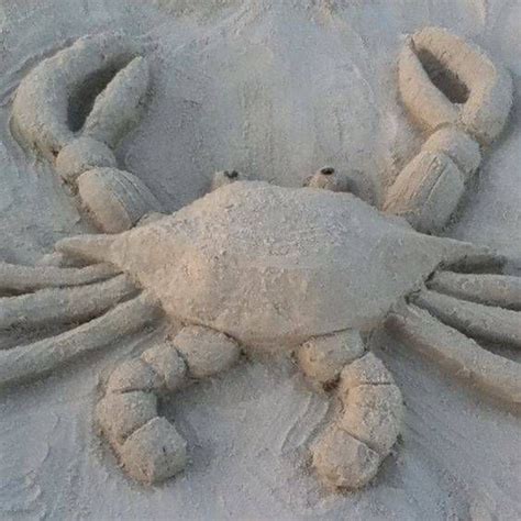 27 Stunning Animal Sand Sculptures | Beach sand art, Sand sculptures ...