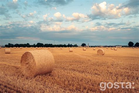 Оновлений календар православних церковних свят на 2024 рік по місяцях