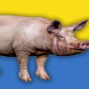 Steam Community :: Украинская бимба