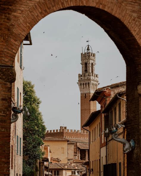 13 Wonderful Things To Do in Siena, Italy | The Medieval Masterpiece