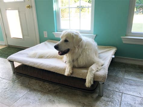 Great Pyrenees Dog Beds | Kuranda Dog Beds®