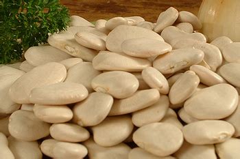 lima beans cooksinfo