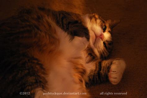 01-20-12 'Jabba Basks' by Pschtyckque on DeviantArt