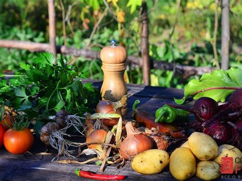 Как приготовить красный борщ без мяса, пошаговый рецепт с фото