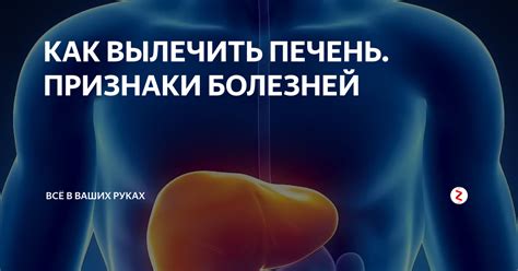 Как болит печень и как лечить ее болезни народными средствами