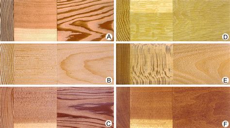 Softwood | timber | Britannica