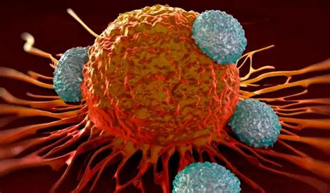 podestá te cuenta: Usan células cancerosas contra el cáncer