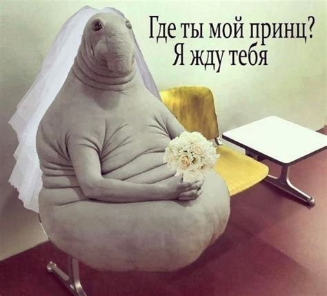 Прикольные картинки про Ждуна (57 фото)