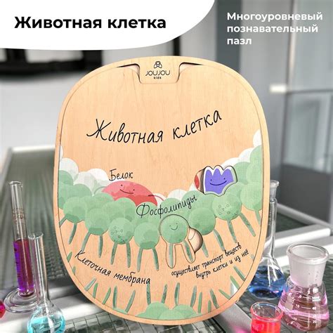 Научная игра "Животная клетка"