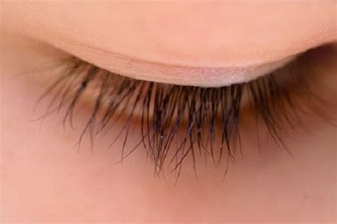 Tips for Perfect Eyelashes - Step To Health Perfect Eyelashes
